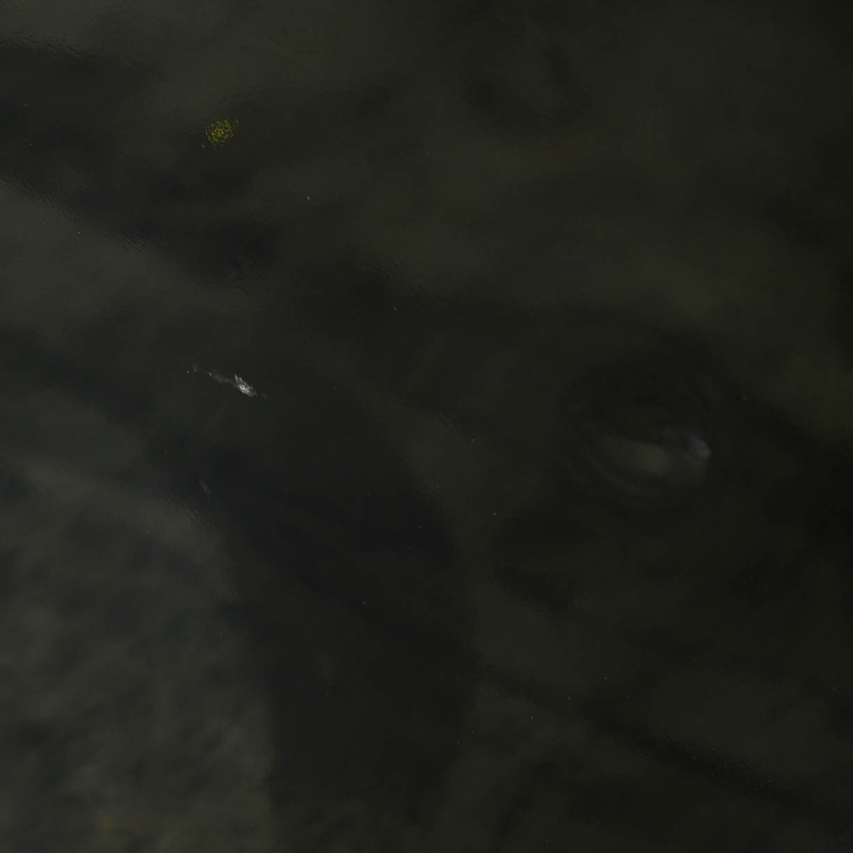 Scratch and Dent SD206-RX552512RCBKBL - Black Blue - RockinToolboxes-04