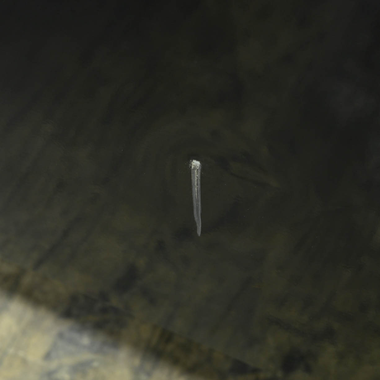 Scratch and Dent SD52-RX552513HRBKBL - Black Blue- RockinToolboxes-22